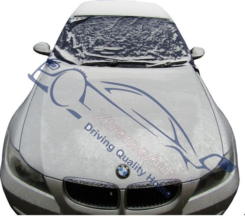 Rover car window windscreen - rover,