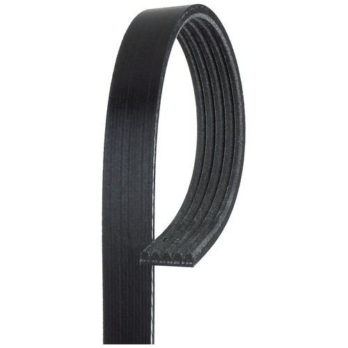 Rib multi drive - multi, belt